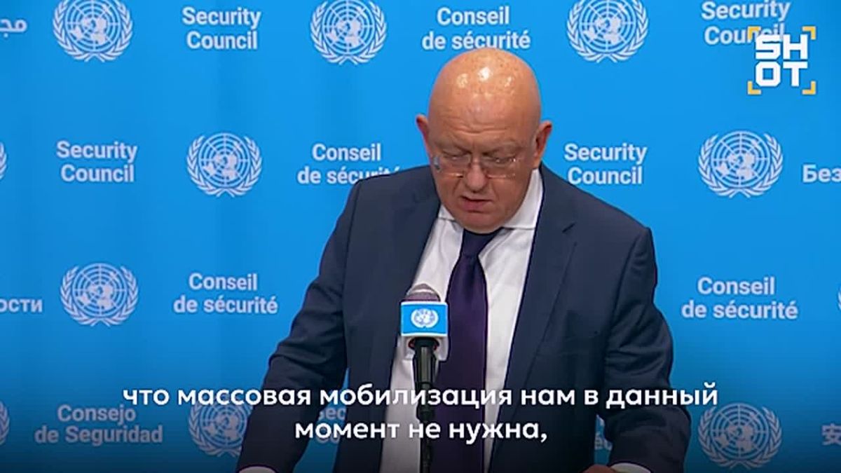России не нужна массовая мобилизация