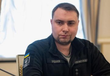 «Ходит белый»: Буданов* может стать фигурантом дела «Форрест Гамп» о коррупции и отмывании денег