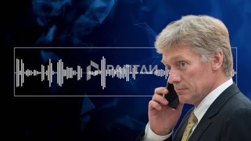 «Война Украины с мультиками лишний раз показывает уродство киевского режима»: Песков — о запрете Зеленским «Маши и Медведя»
