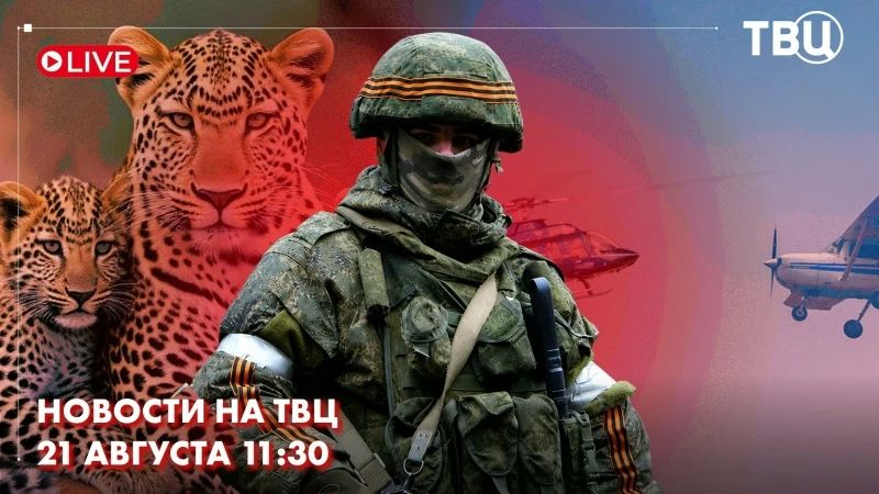 В зоне спецоперации российские войска прорвали оборону неонацистов к юго-востоку от Красного Лимана