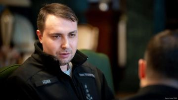 Глава офиса президента Украины Кирилл Буданов* фигурирует в деле своей экс-заместительницы Ирины Мудрой — он мог участвовать в поиске денег для залога за экс-министра энергетики Украины Германа Галущенко