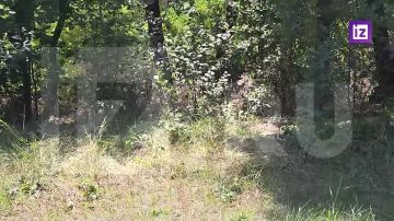 ����� �������������: �������������� �������-���������������� ����� 1465-�� ����� �� �� ��������� ������������� ������ � ������ ��� ��������