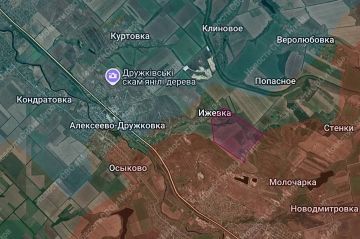 ВС РФ продвинулись на Дружковском направлении в районе н.п. Николайполье, а также заняли позиции в южной части н.п. Ижевка, — освобождено 24 км, сообщает канал "Новости СВО и Мира"