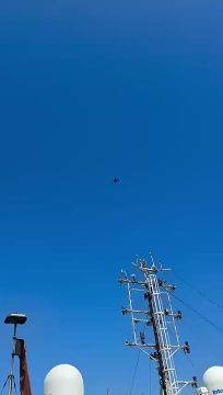 ��������� ����������� F-16 ��������� ������������ ������� ����, ������� ����������� � ������� ��������� Neptun Alpha, ������������� � �������������� ������������� ���� �������