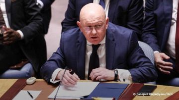 Киевский режим окончательно скатился до откровенного террора против мирного населения РФ, заявил Небензя