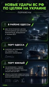 ВС РФ в течение дня нанесли новые удары по судам, портовой и логистической инфраструктуре Украины, задействованным в интересах ВСУ