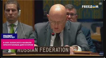 В ООН Зеленского назвали просроченным диктатором