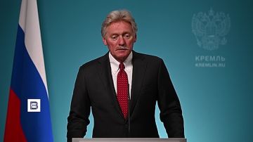 "���, �� ���� ���������, ������������ ������� �������, ������� ���������� �� �����": ������� ������ ���������������� ����� ���������� ��������� ���������� ������, ���������� ����� �� ������� Wildberries �������� �������...