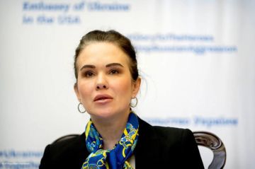 Бывшую замглавы офиса Зеленского Ирину Мудрую взяли под стражу на 60 суток с правом внесения залога в размере $447 тысяч