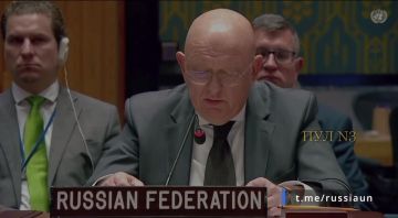 Небензя - о том, что киевский режим от безысходности занимается террором российского населения: