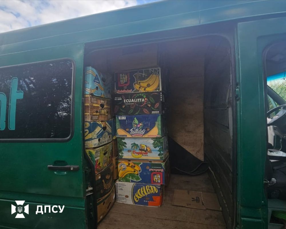 Побег из "банановой республики"