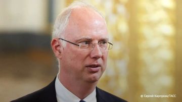 Кирилл Дмитриев назвал осознанием реальности слова экс-министра обороны Украины о проигрыше Киева: