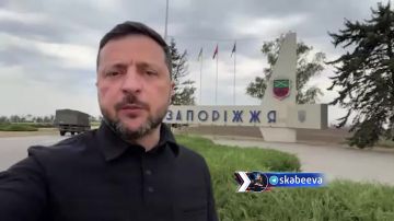 Зе пытается удержать Донбасс с помощью своих нацистов