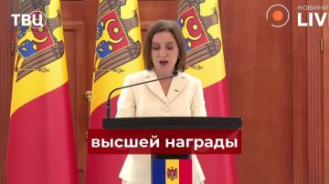 ���� ����� ��������� ���������� ������ ��������������� �������� ��������
