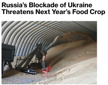 Зерновой кризис на Украине может продолжиться в 2027 году