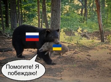 Мы побеждаем! Памагити!. После шапозакидательских победных заявлений Зеленского, в девяти селах Запорожского района объявили обязательную эвакуацию детей, сообщили в областной военной администрации
