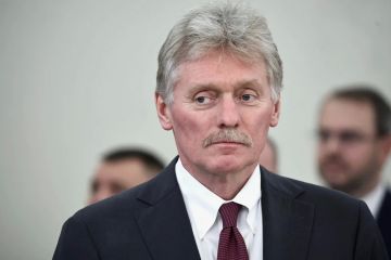 В Кремле заявили, что переговорный процесс по Украине «глубоко находится на паузе»