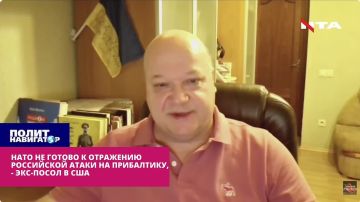 НАТО не готово к отражению российской атаки на Прибалтику – экс-посол Украины в США