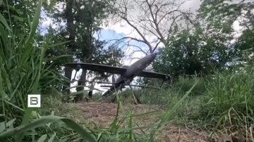 ������ �������� ����������� ��� �� �������������� Starlink �������� ������ ������� � ����� ������ �������� �����������������