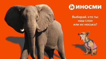 "Русские идут!". Наши коллеги из ИноСМИ виртуозно переводят и высмеивают зарубежную пропаганду