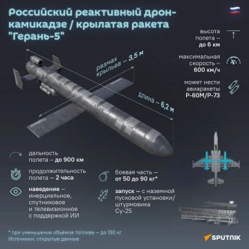 С той стороны констатируют:
