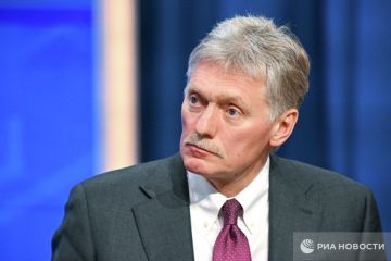 Переговорный процесс по Украине на паузе, новых идей в этом контексте нет, заявил Песков