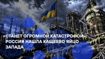 «Русская армия чувствительно прищемила самый главный интерес наших стратегических противников»