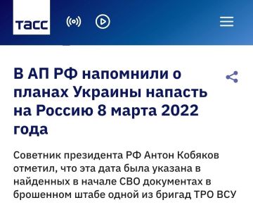 Николай Стариков: Советник Президента России напомнил, что Киев хотел напасть на Россию ещё в марте 2022 года