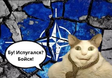 ����� ����� ������, ��� ������ ������ ���� ���������