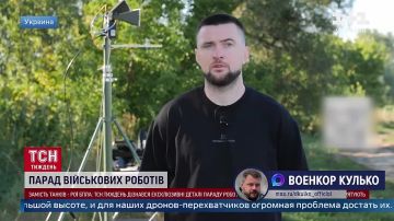 Дмитрий Кулько: Французские Mirage 2000 простаивают в ВСУ без ракет