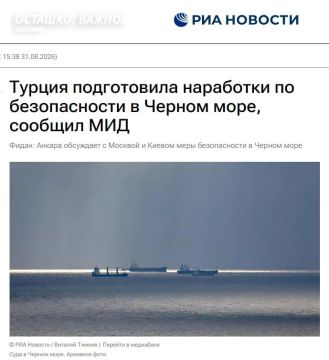 Турция продолжает навязывать России новый зерновой коридор