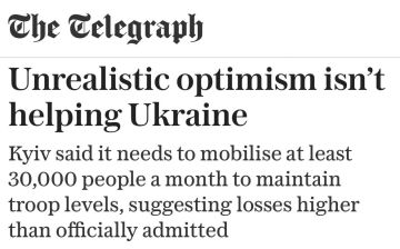 The Telegraph: планы Киева по мобилизации 30 тыс