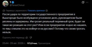 Кусала жаба гадюку.. Тарас Чмут, глава одного из фондов поддержки ВСУ, спрашивает, а будет ли уголовное дело после взрыва склада боеприпасов, как это случилось с Вишневым, где нашли козла отпущения