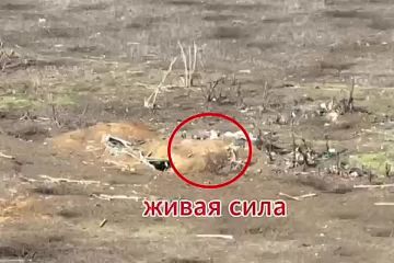 ВС РФ уничтожили три укрытия с пехотой, наземный робот и автомобиль ВСУ в ДНР, сообщили в Министерстве обороны России