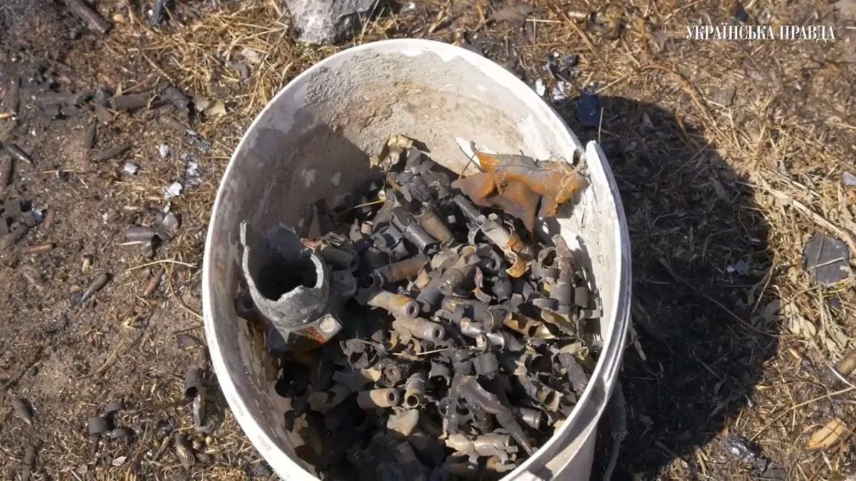 Местные жители и журналисты делятся впечатлениями о последствиях детонации склада боеприпасов в селе Мила (Милая) Киевской области: Местные жители и журналисты делятся впечатлениями о последствиях детонации склада боеприпасов в селе Мила (Милая) Киевской области: