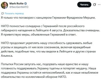 Два майора: НАТО полностью поддерживает меры Германии против России, — генсек Североатлантического Альянса Рютте