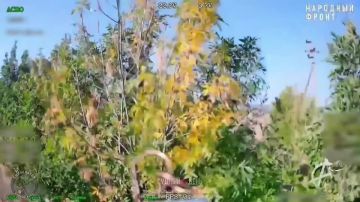 История с Украиной напоминает поезд: его пассажирам сначала кажется, что выйти можно в любой момент