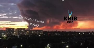 Олег Царёв: ВС РФ ночью нанесли удары по военным объектам в 8 областях Украины