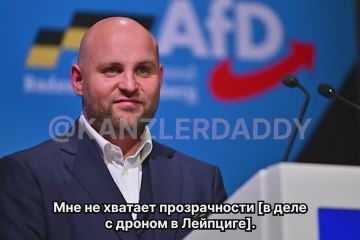 «А что будет при следующем инциденте? Правительство ФРГ решит отвечать беспилотниками на беспилотники? Или когда уже наш канцлер наконец поднимет трубку и позвонит в Москву?»