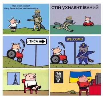 Украинская уличная магия: 98% мобилизованных украинцев растворяются по дороге на фронт