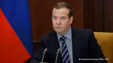 Главы европейских стран — спонсоры терроризма киевского режима, заявил Медведев на фоне обвинений в сторону РФ о недоказанной атаке на аэропорт Лейпциг/Галле