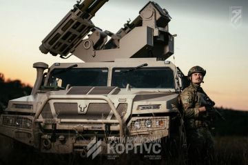 Британские легкие ЗРК Rapid Ranger с ракетами LMM Martlet на вооружении 3-го армейского корпуса ВСУ