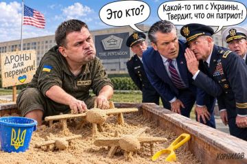 ����-���������: ������� ������������� �� ����� ����� ����� �������