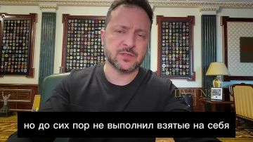 Зеленский - о том, что Уиткофф и Кушнер скоро приедут в Москву и Киев:
