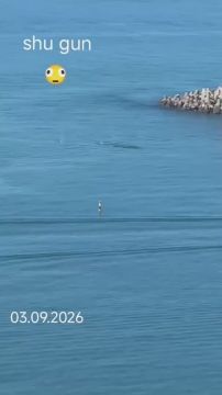 ����� ����� ����������� ���������� ������������ ������, ����������� ��������� ���� � ����