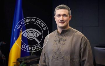 Бывший министр обороны Украины теперь будет давать итальянцам советы о том, как им защищаться