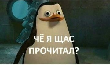 �������-������� ������ ������� ���� ������� ������ � ������� ������ �WB Electronics�