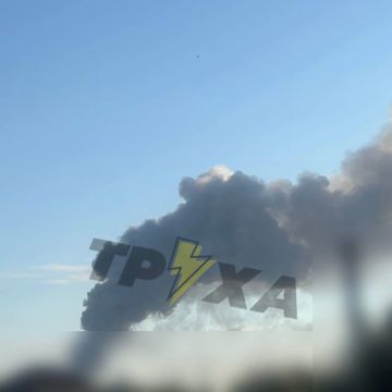 ��� ���� � ���� ������������ ������ ������� � ����� � �������� ��������