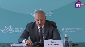 На Украине пройдена "точка невозврата", страну ждет вымирание, а спасти ее может только Россия, заявил Антон Кобяков по итогам ВЭФ-2026