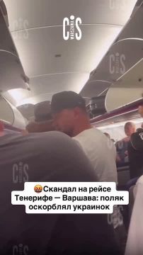На рейсе W61496 из Тенерифе в Варшаву 2 сентября произошёл конфликт между пассажирами, о котором рассказала одна из украинских пассажирок